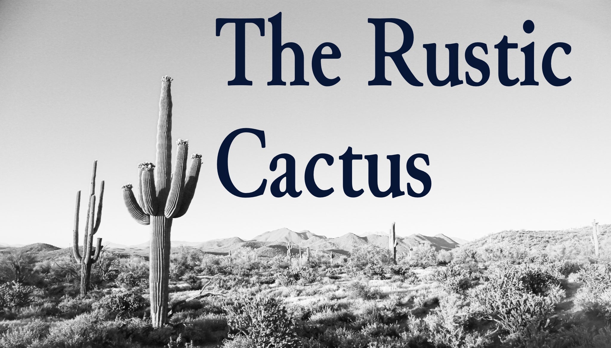 The Rustic Cactus